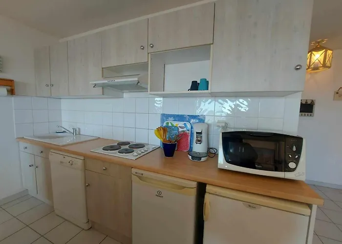 3 Pieces En Bord De Avec Terrasse Et Parking, 6 Personnes - Fr-1-423-293